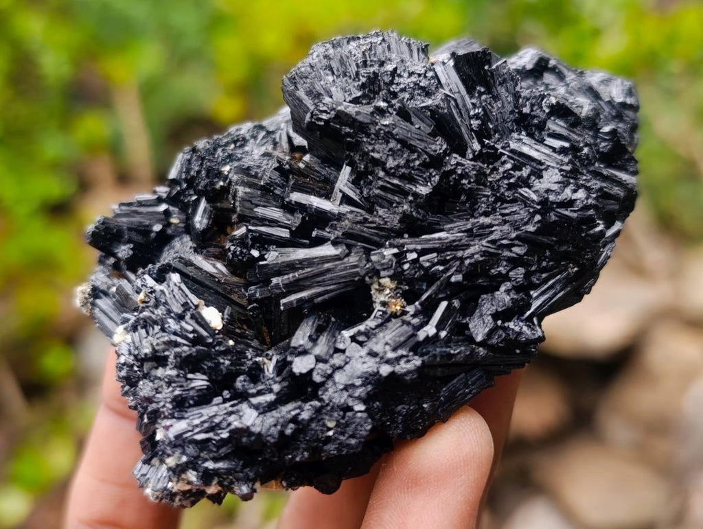 Natural Schorl Black Foitite Tourmaline Specimens with Muscovite Mica x 6 From Erongo, Namibia