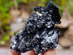 Natural Schorl Black Foitite Tourmaline Specimens with Muscovite Mica x 6 From Erongo, Namibia