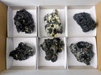 Natural Schorl Black Foitite Tourmaline Specimens with Muscovite Mica x 6 From Erongo, Namibia