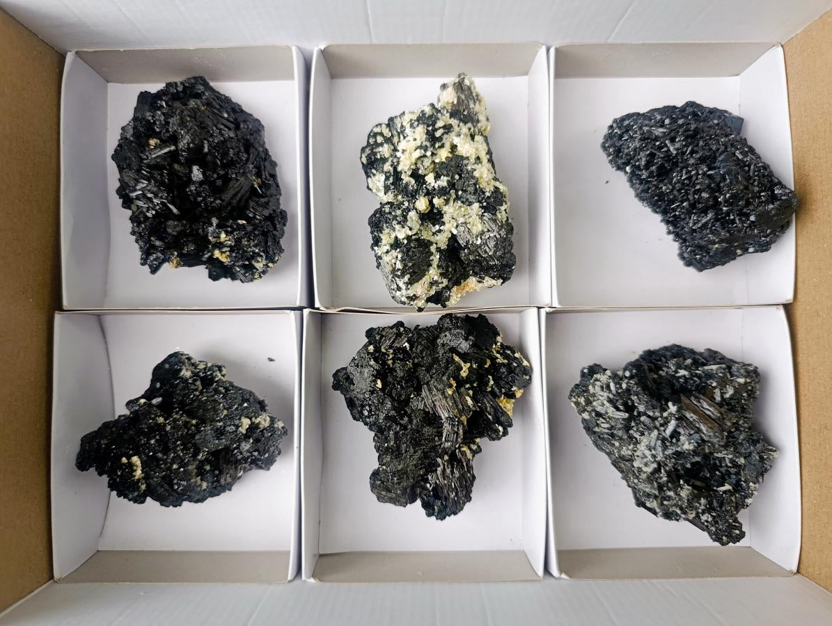 Natural Schorl Black Foitite Tourmaline Specimens with Muscovite Mica x 6 From Erongo, Namibia