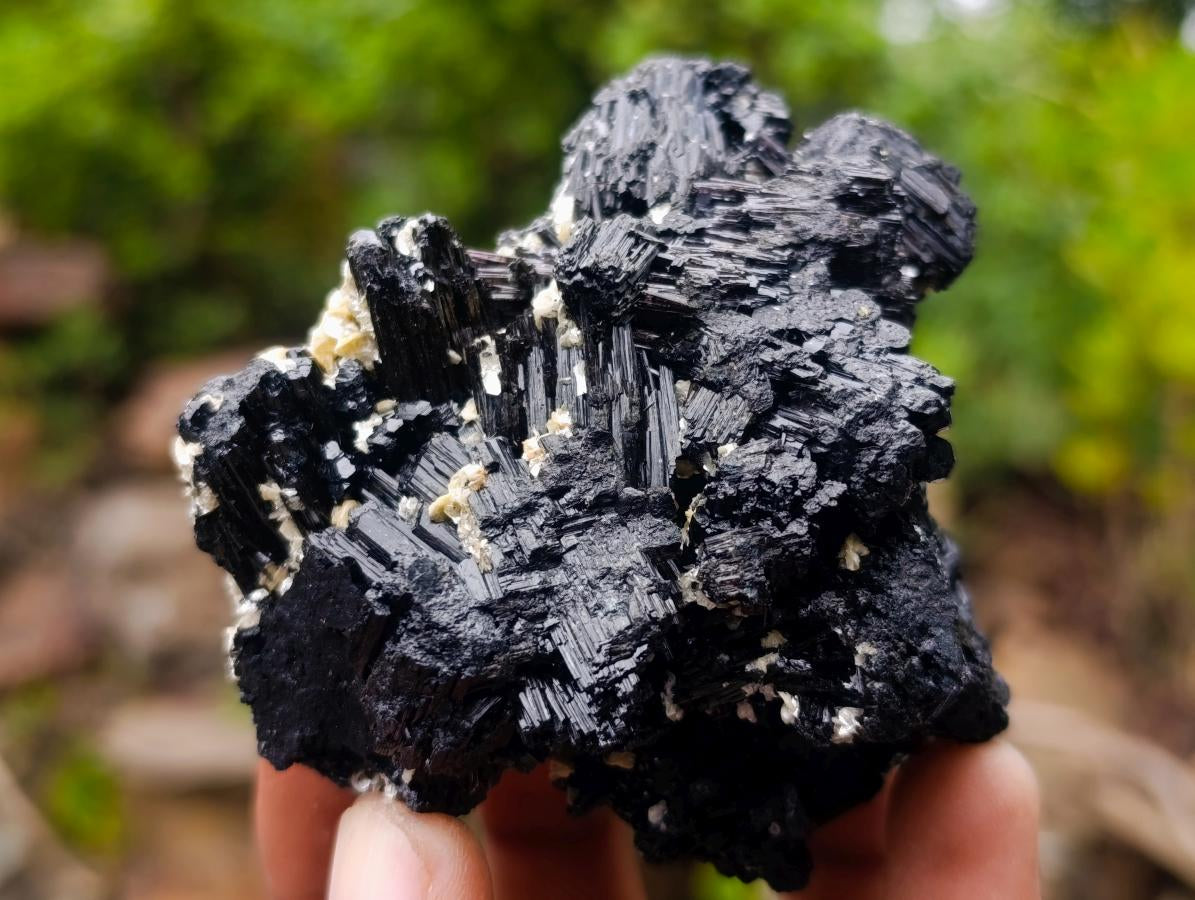 Natural Schorl Black Foitite Tourmaline Specimens with Muscovite Mica x 6 From Erongo, Namibia