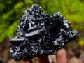 Natural Schorl Black Foitite Tourmaline Specimens with Muscovite Mica x 6 From Erongo, Namibia