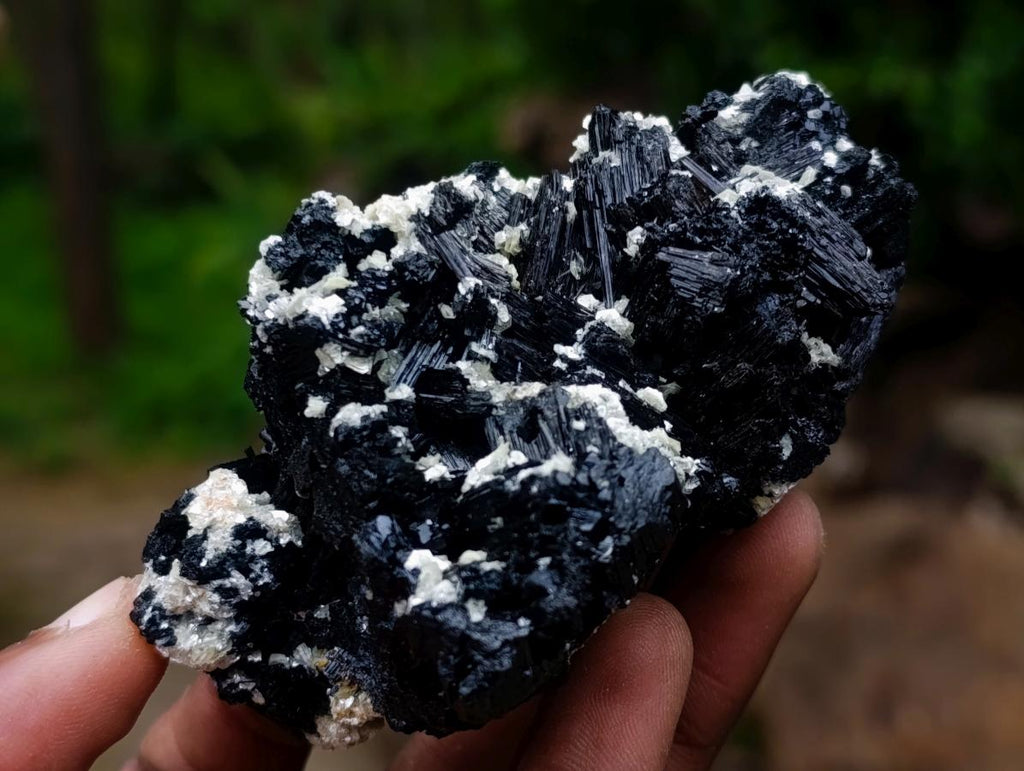 Natural Schorl Black Foitite Tourmaline Specimens with Muscovite Mica x 6 From Erongo, Namibia