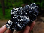 Natural Schorl Black Foitite Tourmaline Specimens with Muscovite Mica x 6 From Erongo, Namibia