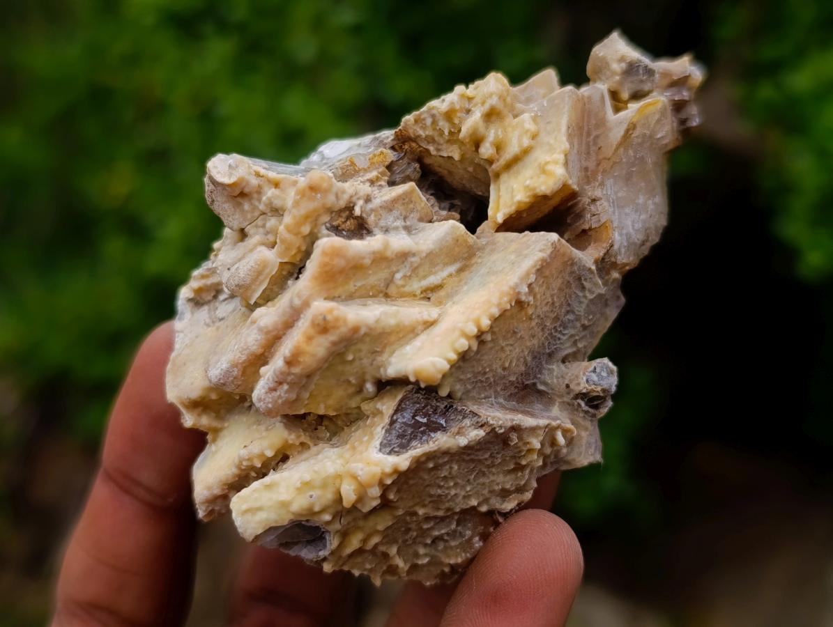 Natural Stacked Rhombohedral Calcite Specimens x 12 From Albert's Mountain, Lesotho