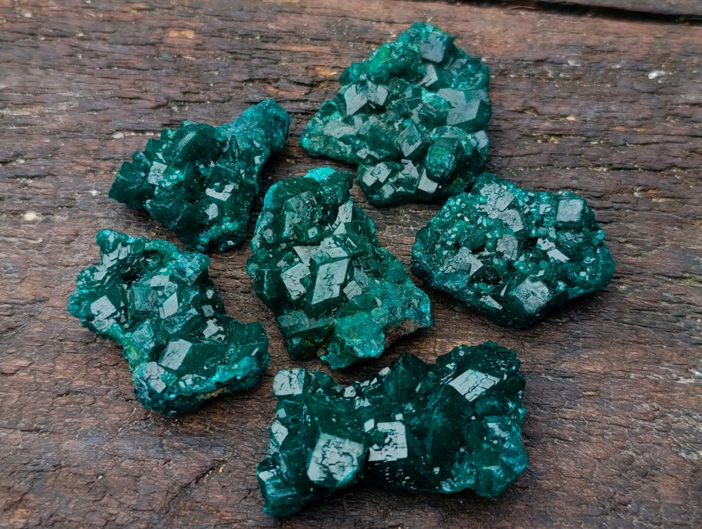 Natural Dioptase Specimens on Dolomite Matrix x 12 From Tantara Mine, Congo