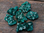 Natural Dioptase Specimens on Dolomite Matrix x 12 From Tantara Mine, Congo