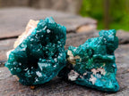 Natural Dioptase Specimens on Dolomite Matrix x 12 From Tantara Mine, Congo
