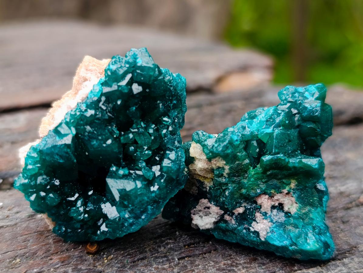 Natural Dioptase Specimens on Dolomite Matrix x 12 From Tantara Mine, Congo