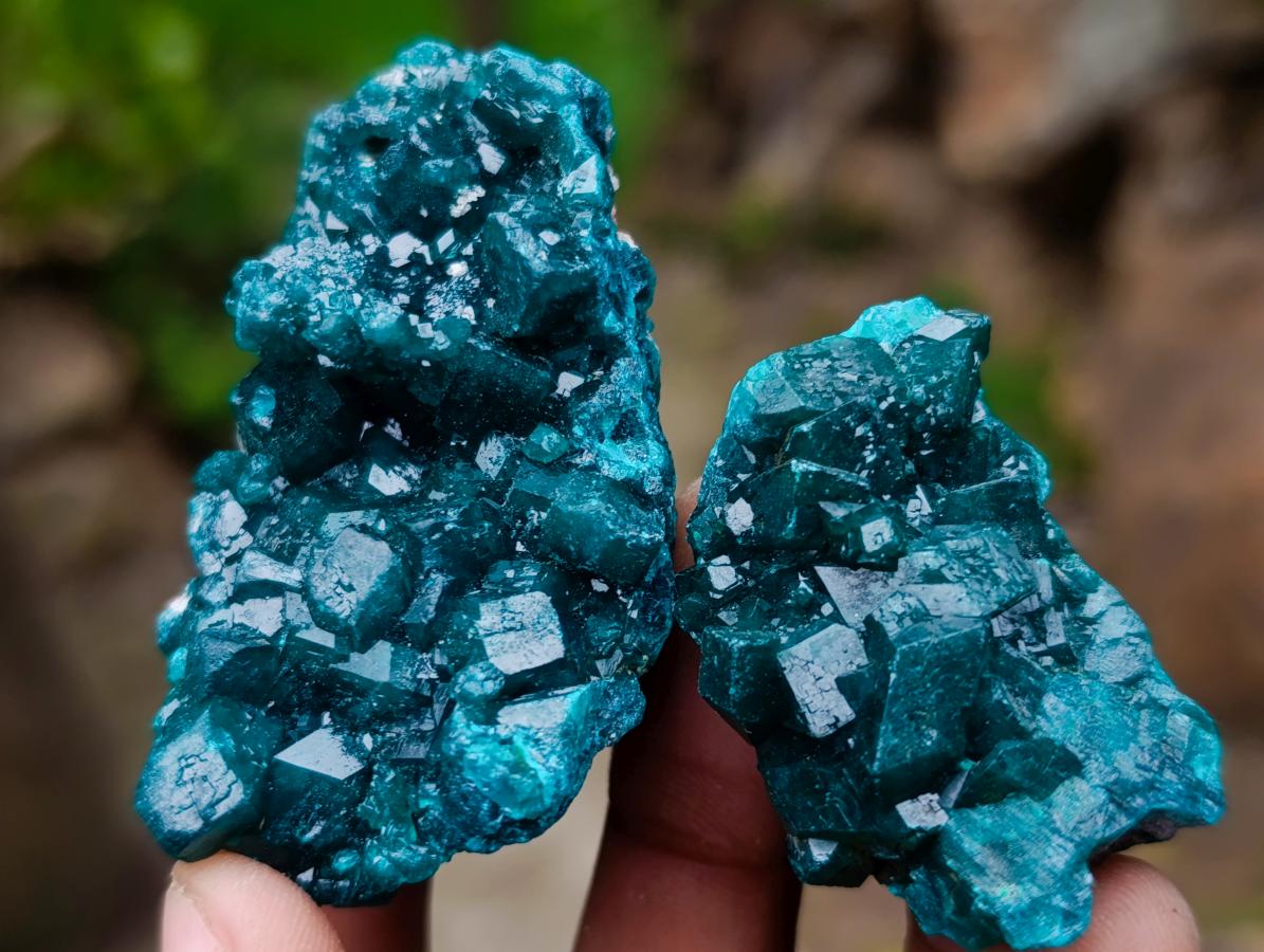 Natural Dioptase Specimens on Dolomite Matrix x 12 From Tantara Mine, Congo