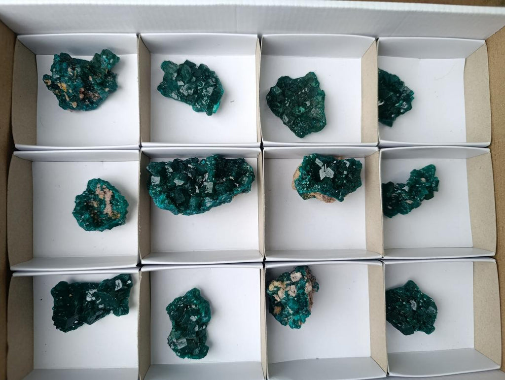 Natural Dioptase Specimens on Dolomite Matrix x 12 From Tantara Mine, Congo