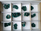 Natural Dioptase Specimens on Dolomite Matrix x 12 From Tantara Mine, Congo