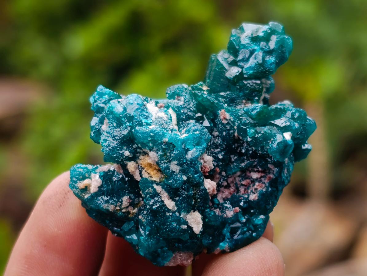 Natural Dioptase Specimens on Dolomite Matrix x 12 From Tantara Mine, Congo
