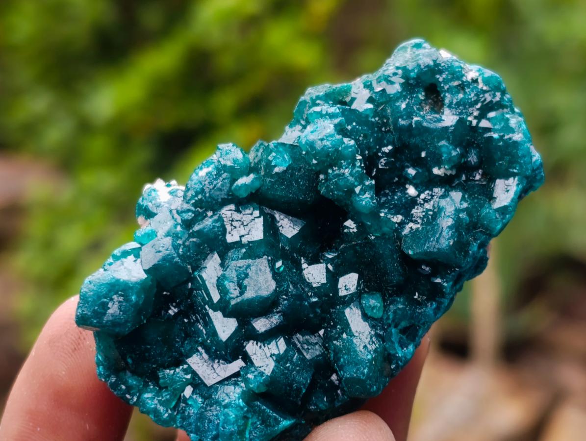 Natural Dioptase Specimens on Dolomite Matrix x 12 From Tantara Mine, Congo