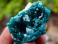 Natural Dioptase Specimens on Dolomite Matrix x 12 From Tantara Mine, Congo