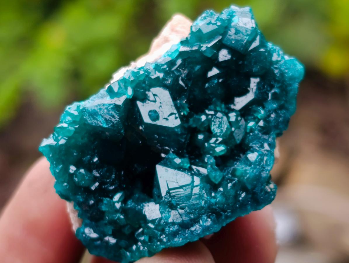 Natural Dioptase Specimens on Dolomite Matrix x 12 From Tantara Mine, Congo