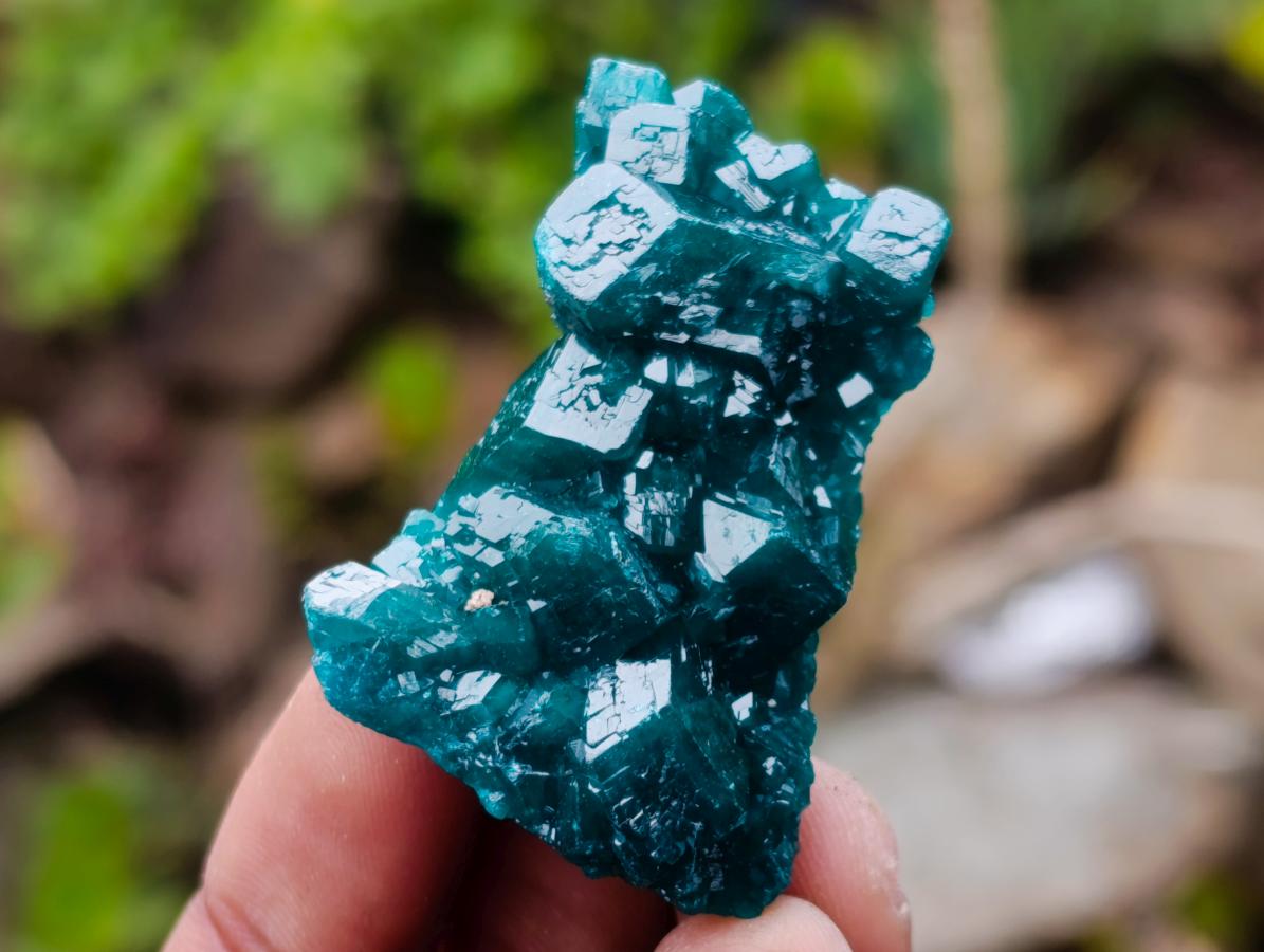 Natural Dioptase Specimens on Dolomite Matrix x 12 From Tantara Mine, Congo