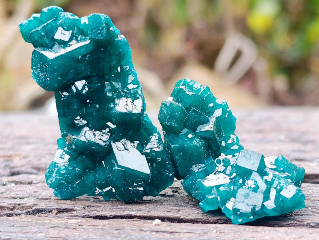 Natural Dioptase Specimens on Dolomite Matrix x 12 From Tantara Mine, Congo