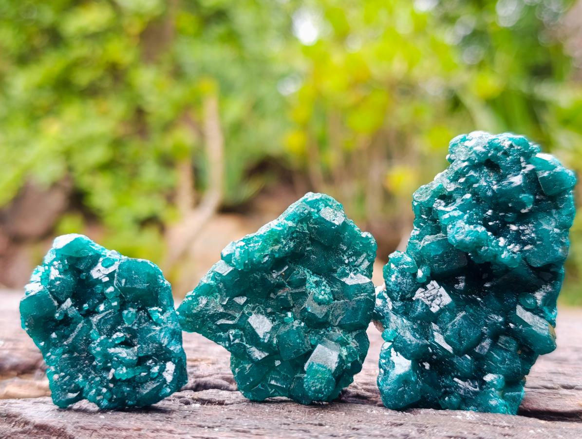 Natural Dioptase Specimens on Dolomite Matrix x 12 From Tantara Mine, Congo