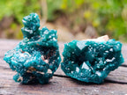 Natural Dioptase Specimens on Dolomite Matrix x 12 From Tantara Mine, Congo