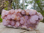 Natural Large Spirit Ametrine Cluster x 1 From Boekenhouthoek, South Africa
