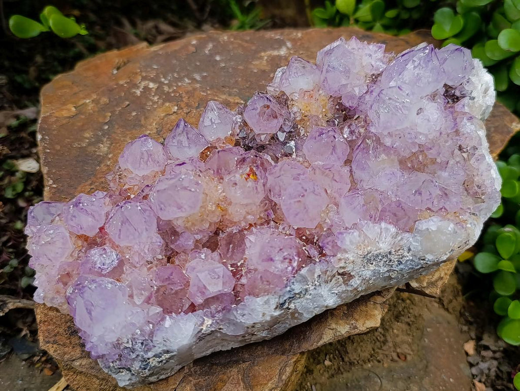 Natural Large Spirit Ametrine Cluster x 1 From Boekenhouthoek, South Africa