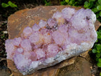 Natural Large Spirit Ametrine Cluster x 1 From Boekenhouthoek, South Africa