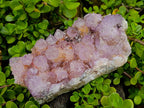 Natural Large Spirit Ametrine Cluster x 1 From Boekenhouthoek, South Africa