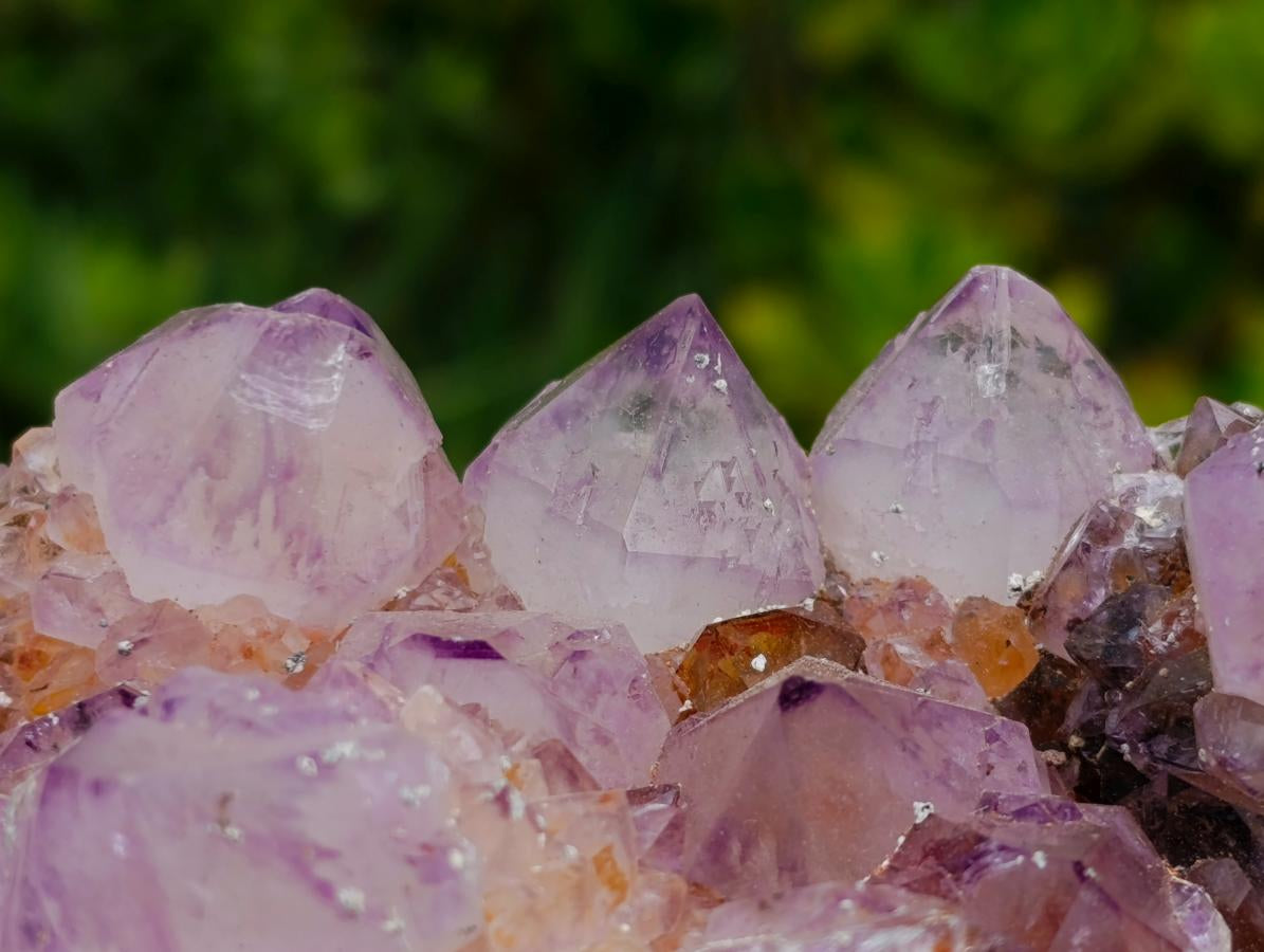 Natural Large Spirit Ametrine Cluster x 1 From Boekenhouthoek, South Africa