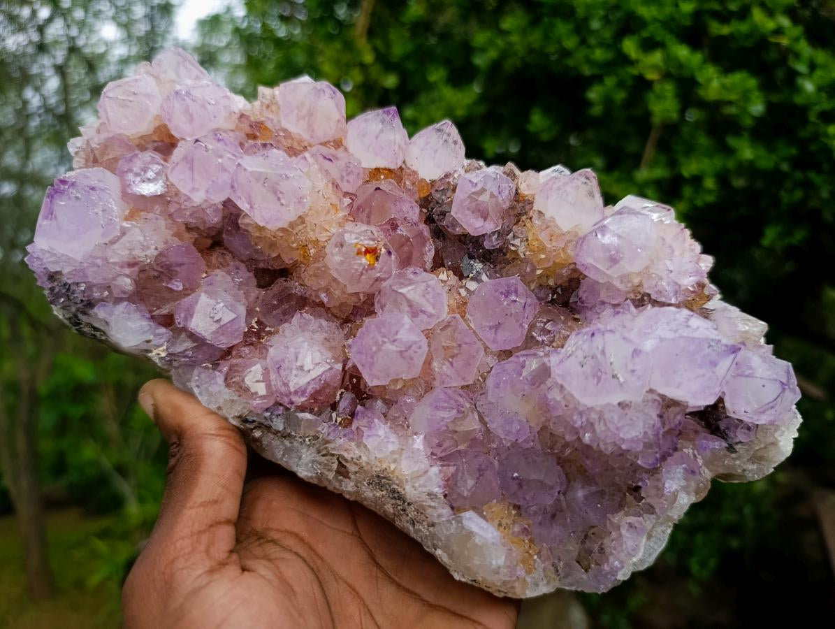 Natural Large Spirit Ametrine Cluster x 1 From Boekenhouthoek, South Africa