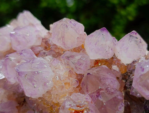 Natural Large Spirit Ametrine Cluster x 1 From Boekenhouthoek, South Africa