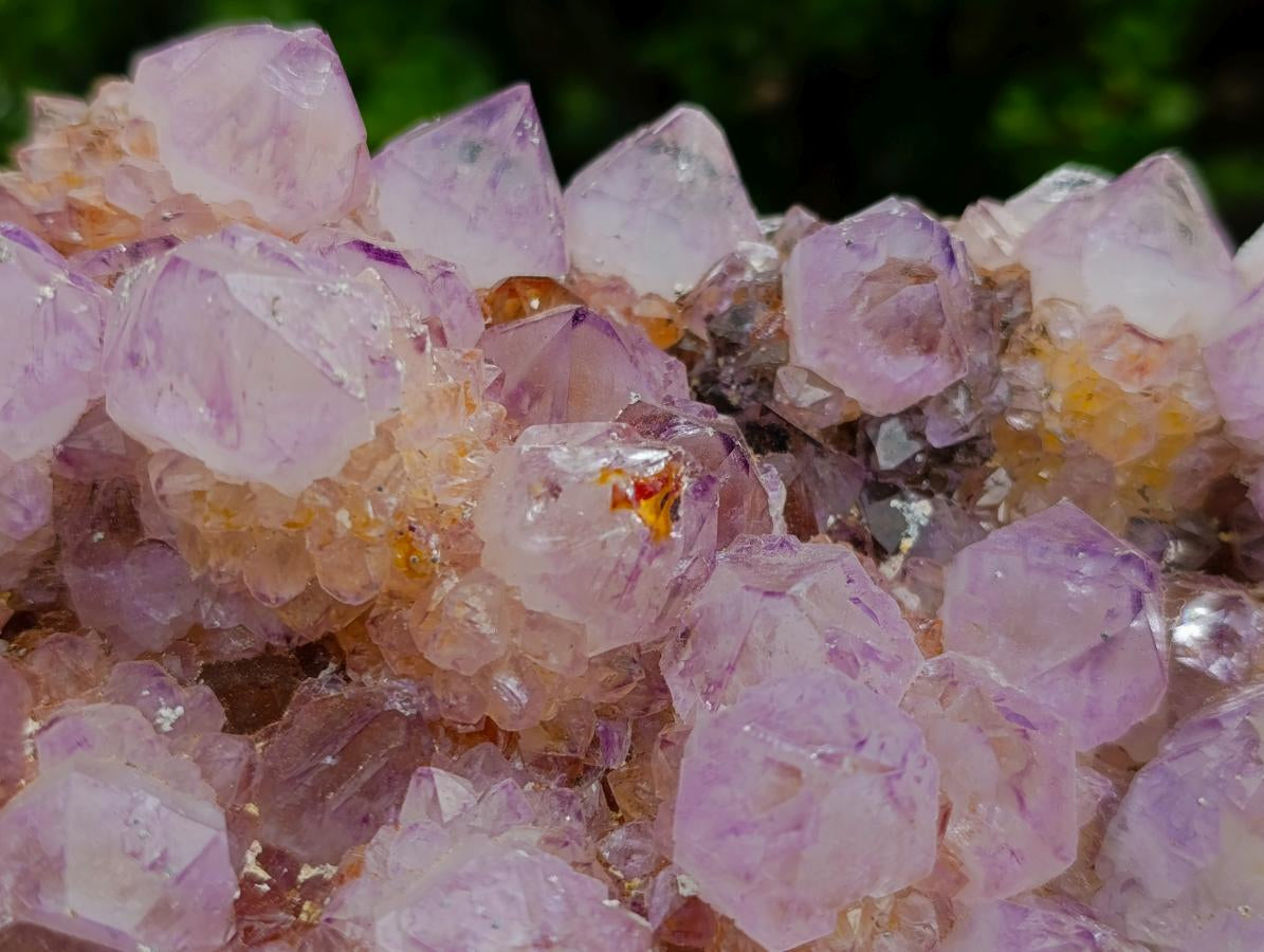 Natural Large Spirit Ametrine Cluster x 1 From Boekenhouthoek, South Africa