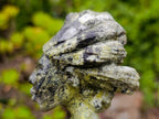 Hand Made Large Leopard Stone Mermaid Carving x 1 From Nyanga, Zimbabwe