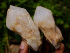 Natural Cascading Single Pineapple Quartz Crystals x 25 From Antsirabe, Madagascar