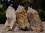 Natural Cascading Single Pineapple Quartz Crystals x 25 From Antsirabe, Madagascar
