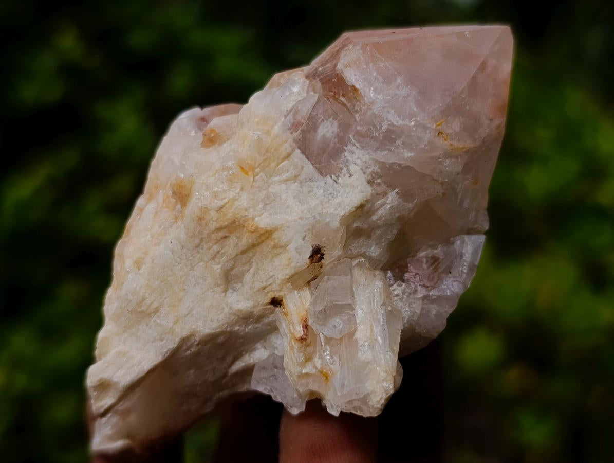Natural Cascading Single Pineapple Quartz Crystals x 25 From Antsirabe, Madagascar