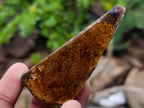 Polished Golden Tigers Eye Tumbled Free Forms x 35 From Prieska, South Africa