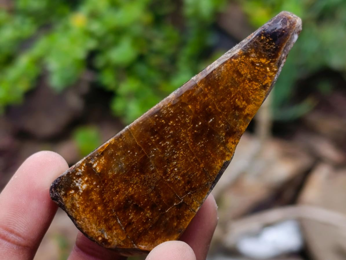 Polished Golden Tigers Eye Tumbled Free Forms x 35 From Prieska, South Africa