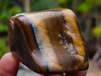Polished Golden Tigers Eye Tumbled Free Forms x 35 From Prieska, South Africa