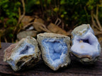 Natural Blue Lace Agate Geode Specimens x 12 From Nsanje, Malawi