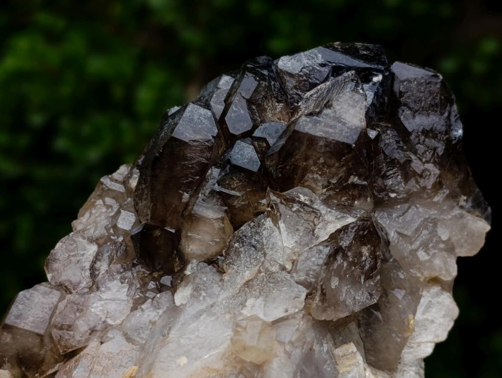 Natural Neuschwaben Farm Smokey Quartz Specimens x 3 From Neuschwaben, Namibia