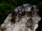 Natural Neuschwaben Farm Smokey Quartz Specimens x 3 From Neuschwaben, Namibia