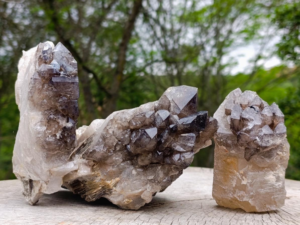 Natural Neuschwaben Farm Smokey Quartz Specimens x 3 From Neuschwaben, Namibia
