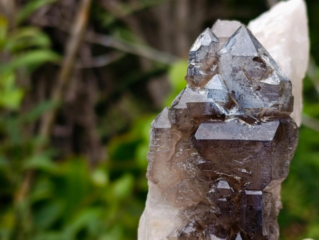 Natural Neuschwaben Farm Smokey Quartz Specimens x 3 From Neuschwaben, Namibia