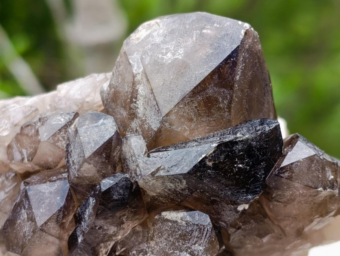 Natural Neuschwaben Farm Smokey Quartz Specimens x 3 From Neuschwaben, Namibia