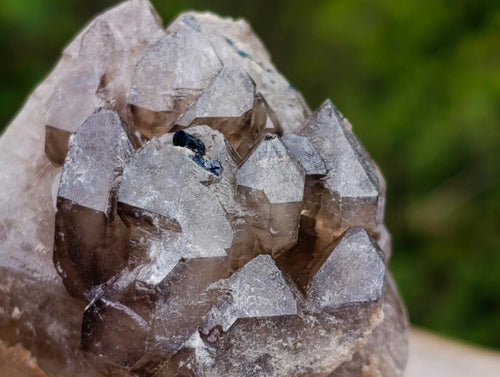 Natural Neuschwaben Farm Smokey Quartz Specimens x 3 From Neuschwaben, Namibia