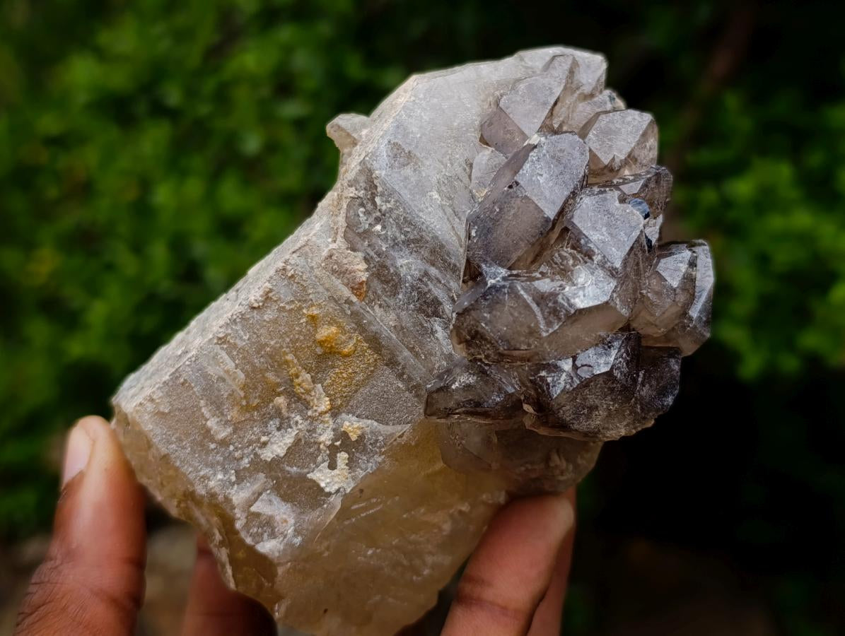 Natural Neuschwaben Farm Smokey Quartz Specimens x 3 From Neuschwaben, Namibia