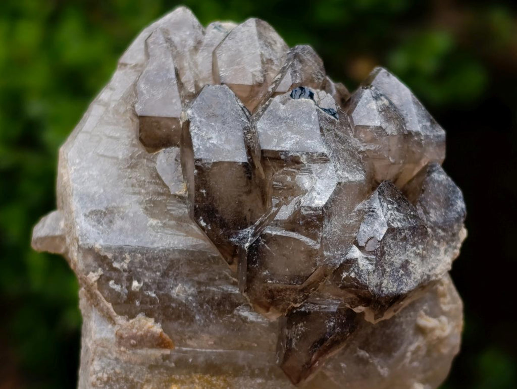 Natural Neuschwaben Farm Smokey Quartz Specimens x 3 From Neuschwaben, Namibia