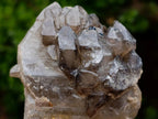 Natural Neuschwaben Farm Smokey Quartz Specimens x 3 From Neuschwaben, Namibia