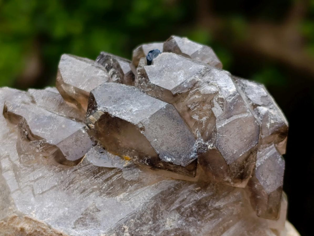 Natural Neuschwaben Farm Smokey Quartz Specimens x 3 From Neuschwaben, Namibia
